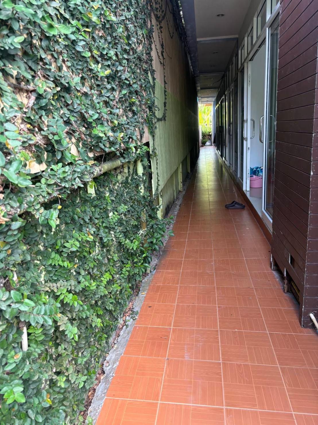 Hotel Rung Phangan 반 타이 외부 사진